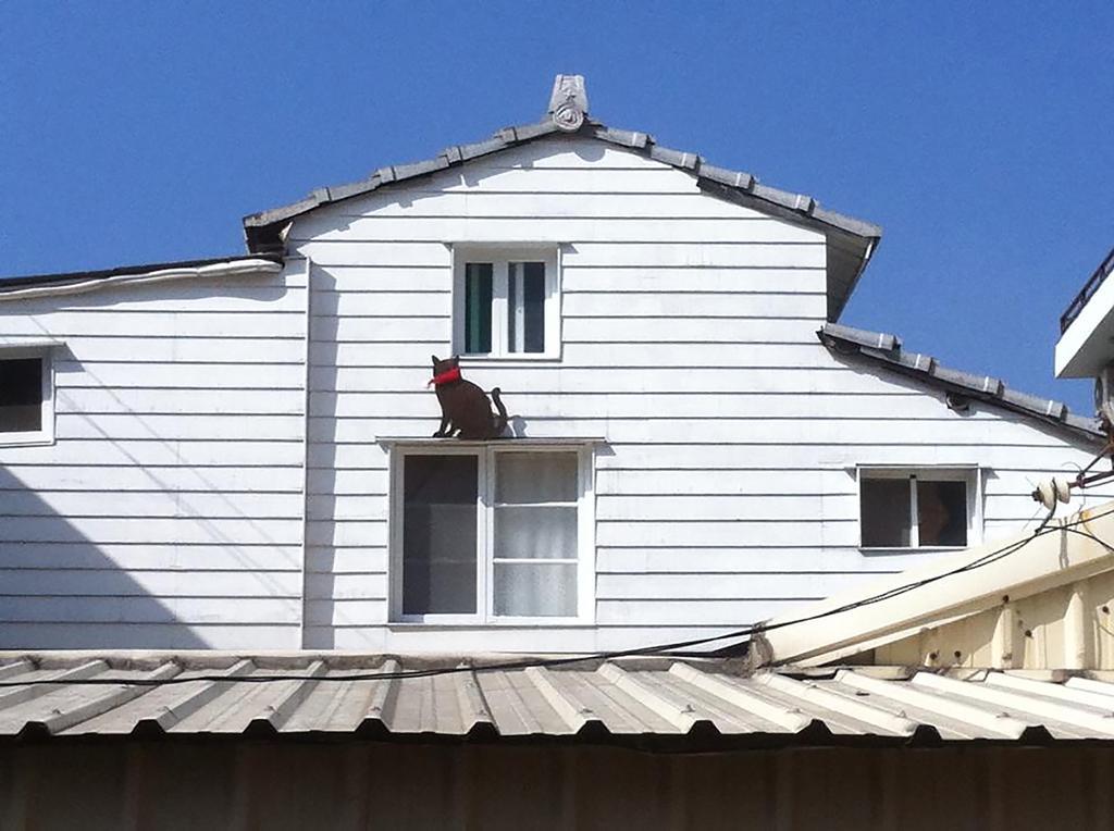 Sugozen Apartman Tajnan Kültér fotó